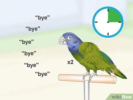Image titled Teach a Pionus Parrot to Speak Step 11