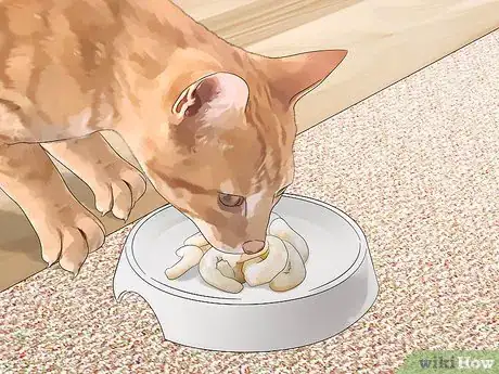 Image titled Feed Cats Table Scraps Step 10
