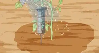 Determine How Much Water Plants Need