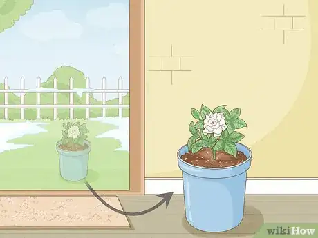 Image titled Why Does Your Plant Have Yellow Leaves Step 5