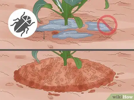 Image titled Reduce the Use of Pesticides in Farming Step 8