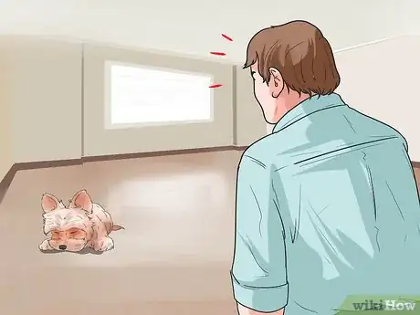 Image titled Treat Portosystemic Shunts in Yorkshire Terriers Step 3