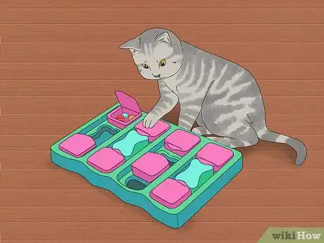 Image titled Deal with Your Cat Pacing at Night Step 8