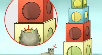 Build a Cat Condo