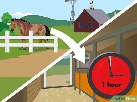 Image titled Prevent Heaves in Horses Step 14