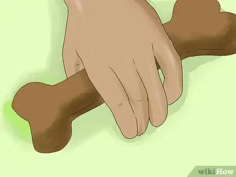 Image titled Make Your Dog a Princess Step 1