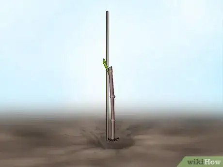 Image titled Plant Confederate Jasmine Step 16