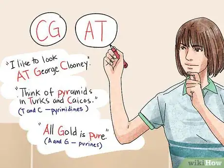 Image titled Understand DNA Structure Step 10