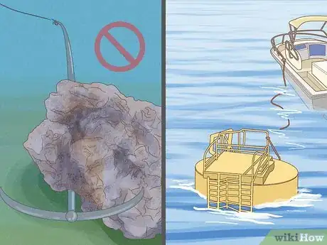 Image titled Help Prevent Coral Bleaching Step 9