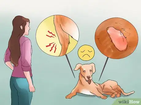 Image titled Diagnose Canine Cancer Step 4