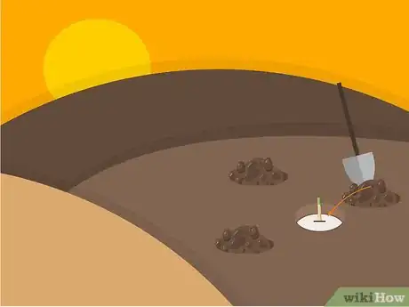 Image titled Grow Stargazer Lilies Step 11