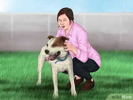 Image titled Determine Where to Get Your Dog Step 3