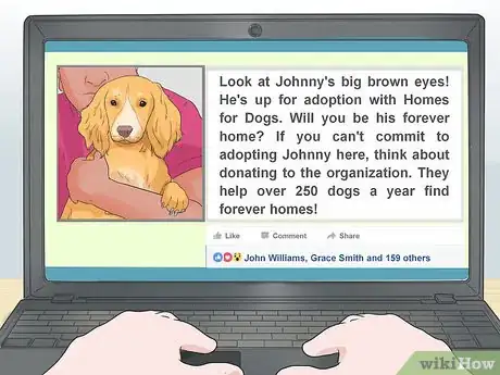 Image titled Support Dog Charities Step 12