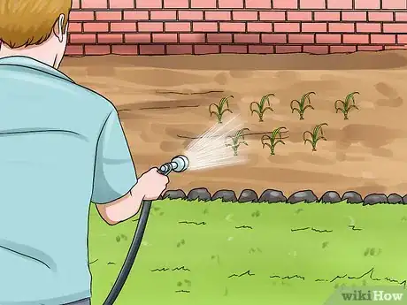 Image titled Grow Great Herbs Step 16