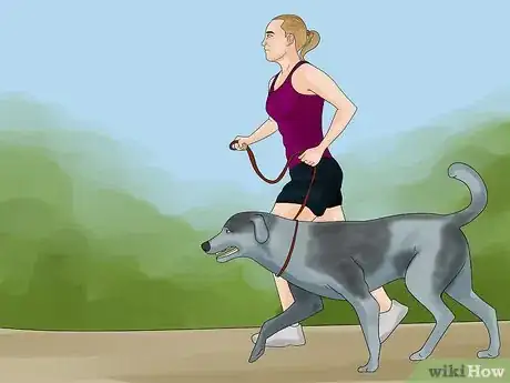 Image titled Avoid Losing Your Dog Step 3