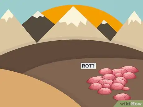 Image titled Sprout Sweet Potatoes Step 02