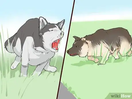 Image titled Live with a Dog with a High Prey Drive Step 11