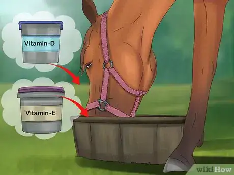 Image titled Give Your Horse the Right Supplements Step 15