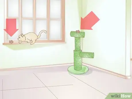 Image titled Keep an Indoor Cat Active Step 13