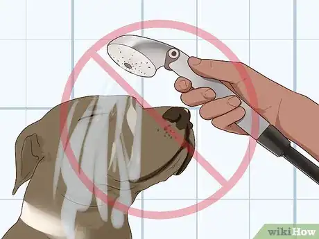 Image titled Ensure Passive Immunity in Newborn Puppies Step 6