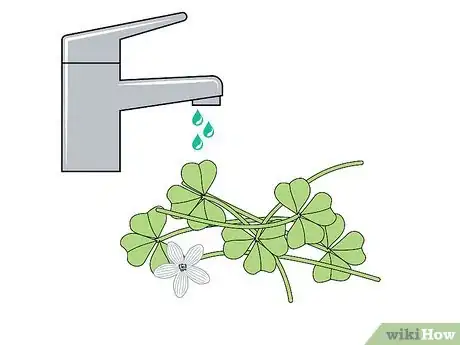 Image titled Harvest Wood Sorrel Step 7