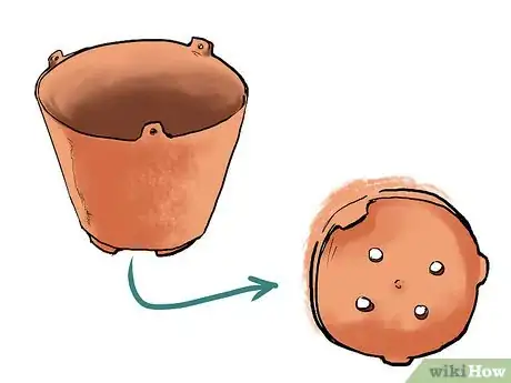 Image titled Grow Geraniums in Pots Step 1
