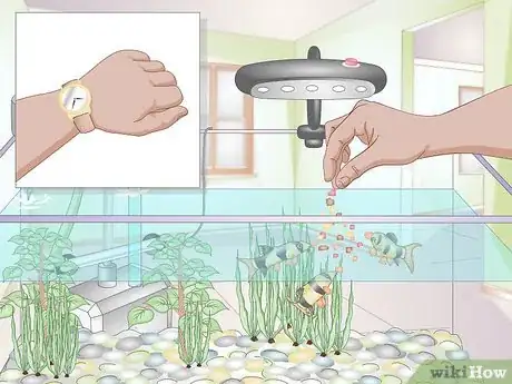 Image titled Take Care of Freshwater Fish Step 12