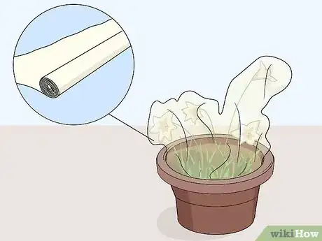 Image titled Use Horticultural Fleece Step 12