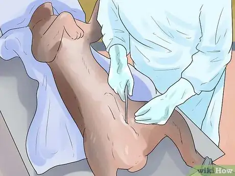 Image titled Prepare Your Dog to Go Off‐Leash Step 8