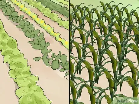 Image titled Farm Organically Step 9