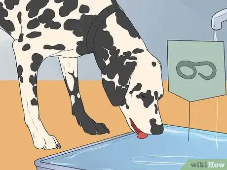 Image titled Prevent Hookworms in Dogs Step 9
