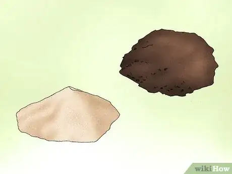 Image titled Plant Confederate Jasmine Step 11