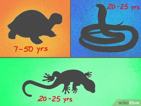 Image titled Choose the Right Reptile as a Pet Step 7