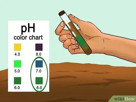 Image titled Buy Mint Plants Step 11