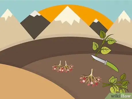 Image titled Sprout Sweet Potatoes Step 15