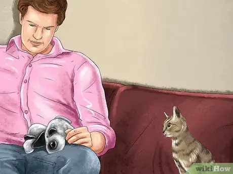 Image titled Find Your Cat's Preferred Play Style Step 10