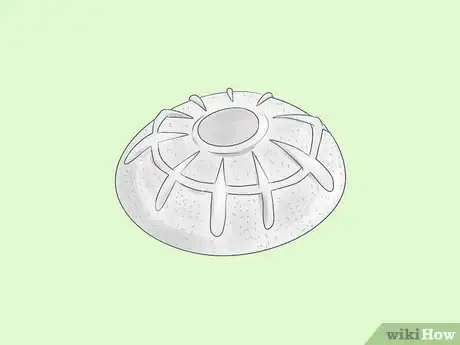 Image titled Tufa Cast Step 6