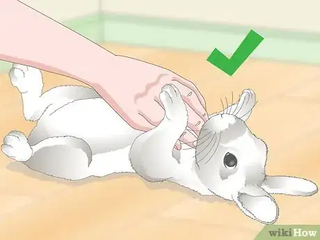 Image titled Love Your Rabbit Step 6