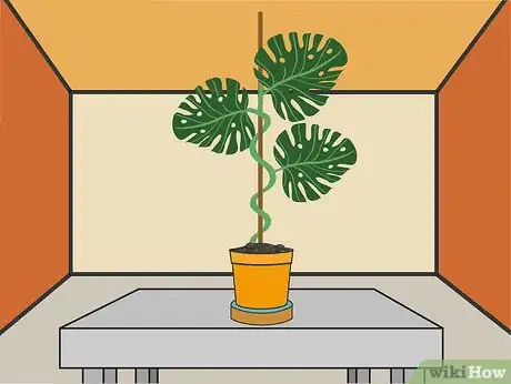 Image titled Grow Philodendron Step 10