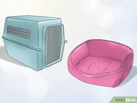 Image titled Get Along with Your Dog Step 5