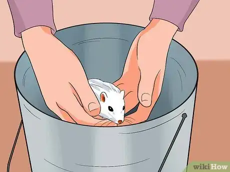 Image titled Clean a Gerbil Cage Step 1