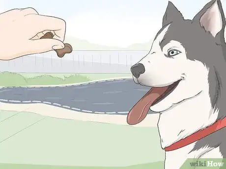 Image titled Keep Dogs Off of a Pool Cover Step 5