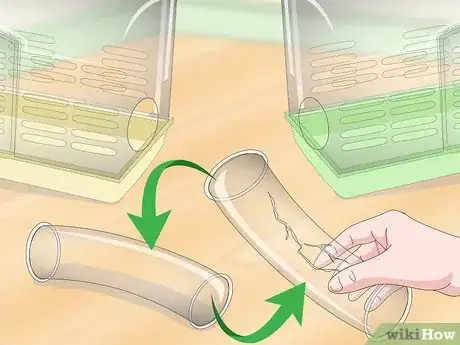 Image titled Train a Hamster to Run Through Tunnels Step 12