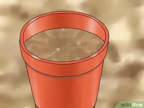 Image titled Grow Great Herbs Step 12