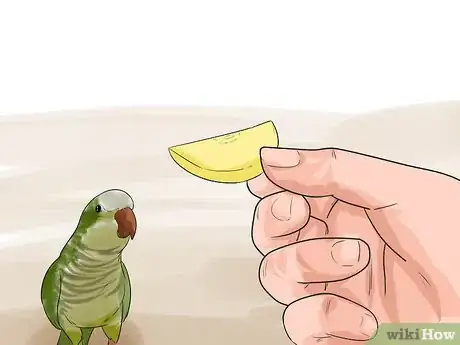 Image titled Perch Train Your Parakeet Step 8