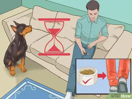 Image titled Manage Behavioral Dysfunction in Older Dogs Step 9