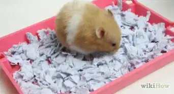Make Hamster Bedding Similar to Carefresh