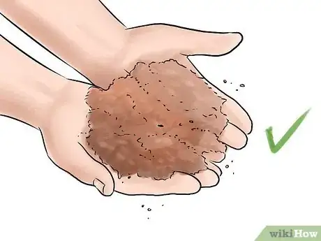 Image titled Grow a Japanese Maple Step 3