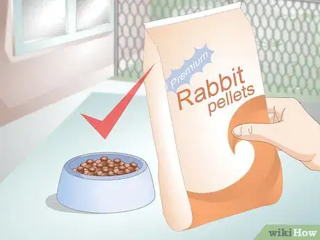 Image titled Spoil Your Pet Rabbit Step 1