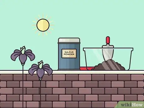 Image titled Store Iris Bulbs Step 9